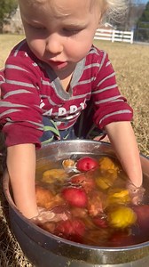 551K views · 79K reactions | I help mommy wash potatoes 凜 | CookingwithSammy | Facebook