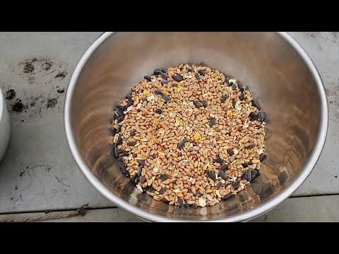 Making fat ball feeders