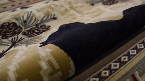 Watch Nature Collection Video on Amazon Live