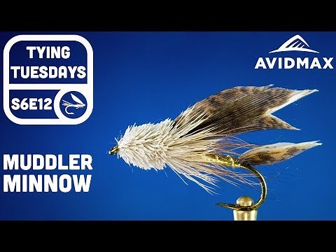 How to tie the Muddler Minnow | AvidMax Fly Tying Tuesday Tutorials