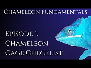 Chameleon Cage Set up Checklist!