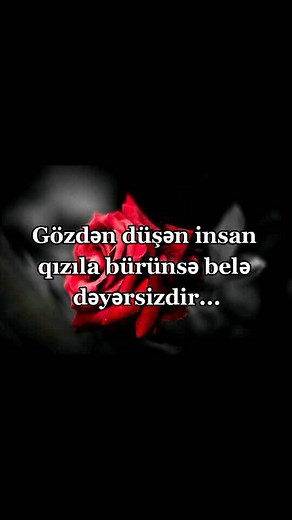 Navid Nuri (@nigi_0_19_)’s videos with orijinal ses - cina