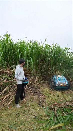 #KohamMowers#LawnCare#GardenTools#MowerReview#LawnMower#LawnMaintenance#BestMower#ElectricMowers