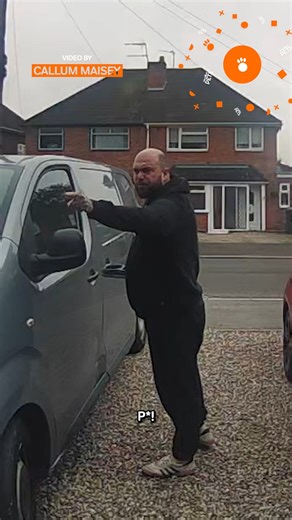 3.1K views · 51 reactions | Home Alone: Dog Edition  #funnydogs #funnypets | Pawsome Pets | Facebook