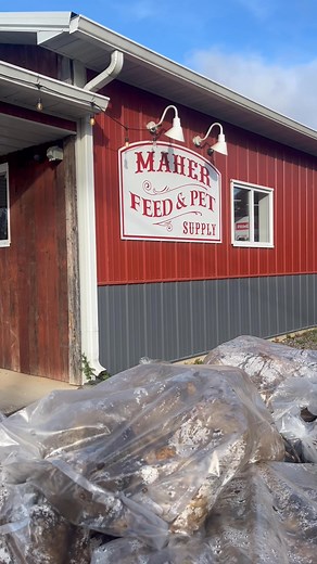 Just BEET IT, BEET IT but don’t forget about the apples, carrots and whole corn! 🌽 🥕🫜🍎 . . We’re here today til 5:00 PM and tomorrow til 3:00 PM! | Maher Feed and Pet Supply, Highland, MI