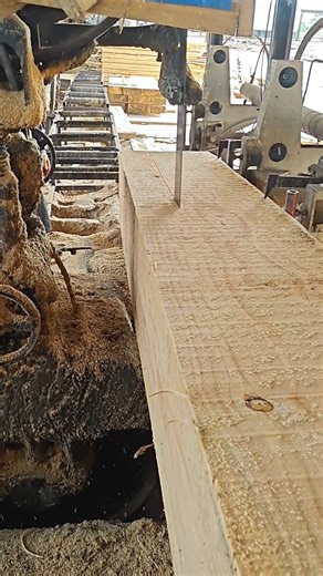 11K views · 89 reactions | Wood in progress 漢✨ #TimberCraft #woodworking #sawmill #timberwork #woodcutting #carpentrylife #lumberwork #woodprocessing #diywood | TimberCraft | Facebook