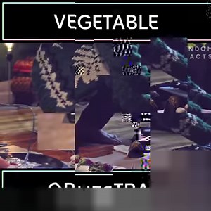 Teardrop by Massive Attack. Played on vegetables. | Random Acts