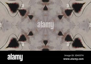 Colorful abstract patterns create mesmerizing visuals in four frames