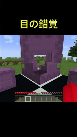 巨大なシェルカーボックス #minecraft