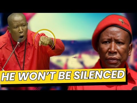 🔥 Julius Malema’s Message to Africa | The Truth They Fear