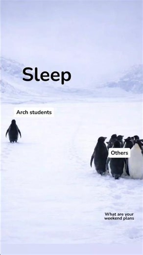Arch Students Vs other Streams