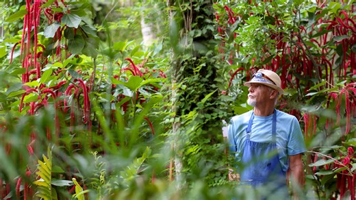 Florida botanical gardens: 5 best on Treasure Coast in Vero, Fort Pierce, Port St. Lucie