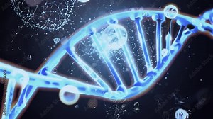 3D animation of DNA. Conceptual design of genetic information for science animation. multicolored DNA molecule. DNA molecules in chromosomes. science, biology DNA genome double helix rotating loop 4k Stock Video