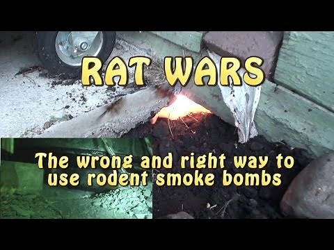 RAT WARS: The wrong & right way to use rodent smoke bombs