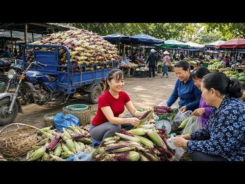 Harvesting Purple Corn With 3-Wheeled Truck | Amazing Countryside Market Selling