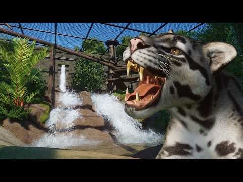 No Animal? Find an Alternative! Pro Strategy | Clouded Leopard Habitat [Planet Zoo_Vol.38]