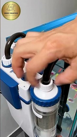 Sunsun YBF-500 Review #aquarius #shortsvideo #aquascape #pets #aquariumhobby #fishtank #fish #nature