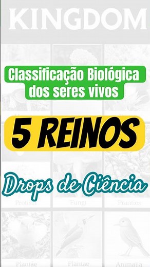 👑 5 REINOS dos SERES VIVOS REVELADOS! 🤯 Classificação Biológica #ciencia #biologia #curiosidades