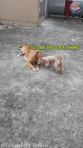 Furry manipulator😈 | Bright Side Fun