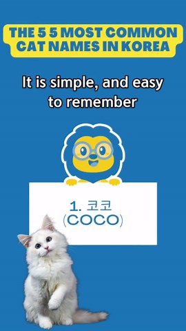 Top 5 Korean Cat Names You'll Love! 🇰🇷🐱