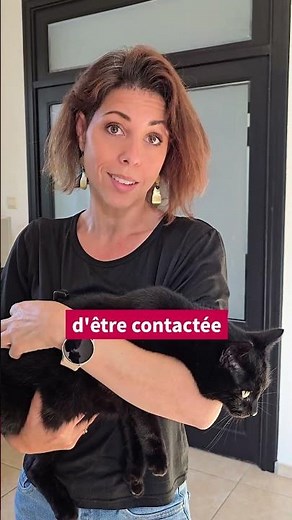 Faire identifier son chat est une obligation légale en France depuis 2012 !