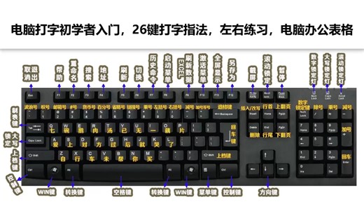 零基础学电脑打字和办公,认识键盘，学会打字指法