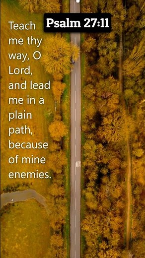 Psalm 27:11 Learn the Way of the LORD #dailybibleverse #bibleverseoftheday
