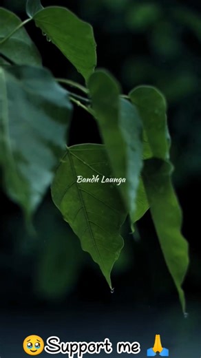 "Tere Vaaste 💖 | Most Trending Love Song | Viral Shorts 2025"