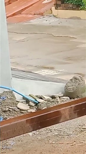 Beautiful Chipmunk eating food grains in ground | #wildlife #chipmunk #squirrel #birds #tamias