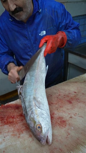 American Fisherman Shows the Smartest Way to Fillet Fish (Amberjack)