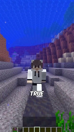i busted minecraft myth4