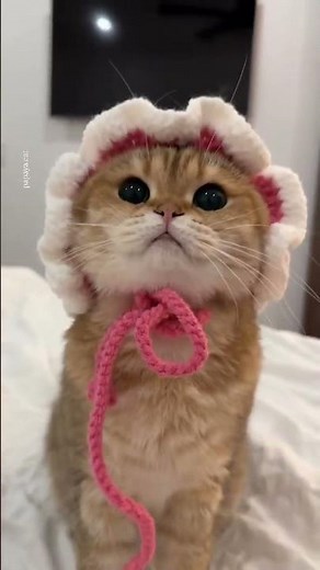 How to crochet a cute cat hat|#CREATIVE_BY_DILOBAR