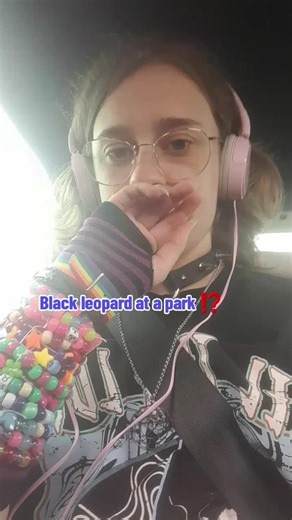 Exploring a Dino Park Adventure 🦖