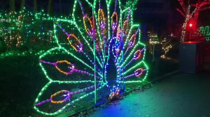 11K views · 265 reactions | The magic of Christmas at the Zoo continues tonight! Join us during the final 5️⃣ nights of our beloved holiday event. Plan your visit » bit.ly/2Qx0L2D | Indianapolis Zoo | Facebook