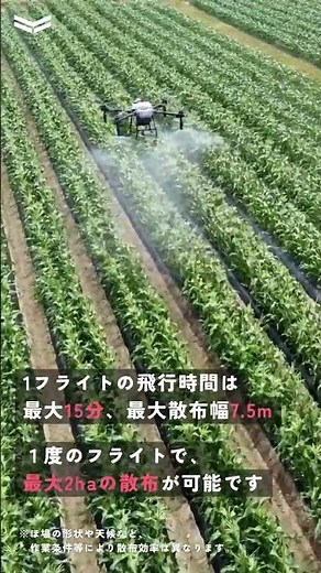 農薬散布用ドローン T25 作業動画（石川県）