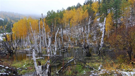 Siberia's rapidly melting permafrost is changing the landscape