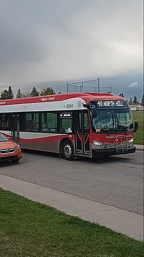 Calgary Transit #8244 New Flyer XD40 as Route 40 to North Hill