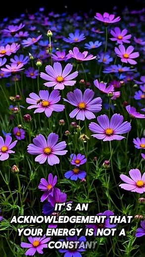 The Principle of "Rough Planning" #shorts #psychology #story