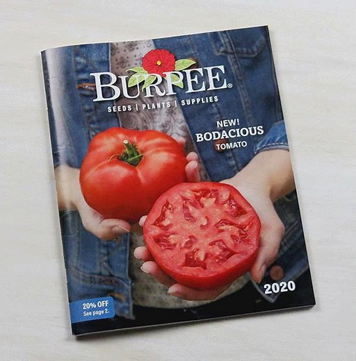 NEW 2020 Catalog