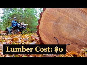 Building a Tiny Cabin from a Giant White Pine with an Alaskan Chainsaw Mill. #61