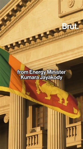 3.2K views · 11 reactions | “One monkey = chaos,” this is just one...