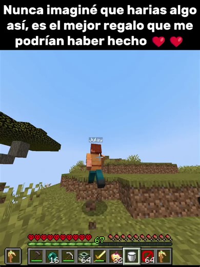 Gracias Bro en Minecraft con Technoblade