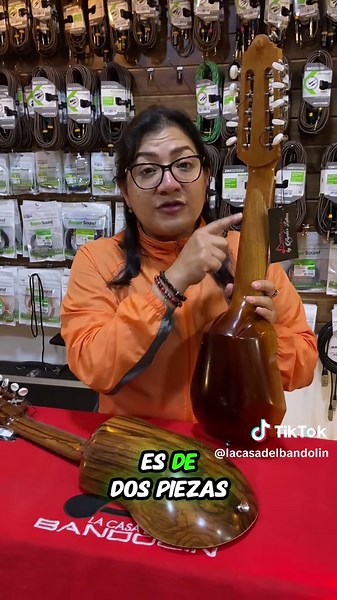 Charango Económico vs Profesional: Diferencias Clave