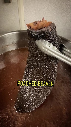 Cooking Beaver Tail: A Culinary Journey