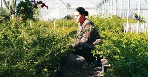 Advancing the relationship between the arts and health - Arizona Arts