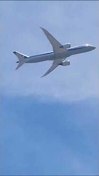 #福岡市 #福岡空港 #エバー航空 #全日空 福岡空港着陸のため、福岡市街地上空を通過するエバー航空B787-10 & ANA B787-9 Dreamliner