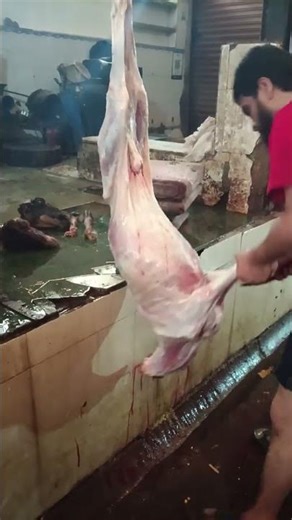 bakra halal#bayan #shortvideo #viralvideo