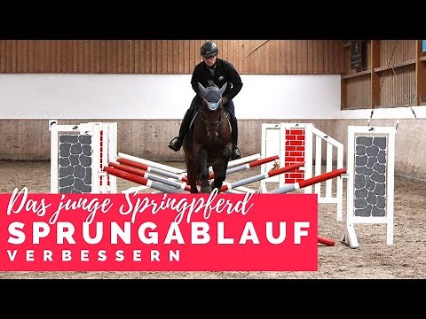 Sprungablauf und Bascule schulen | Ausbildung des Springpferdes