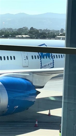 The special sticker on the 787 united first flight #airplane #aviation #dreamliner #united