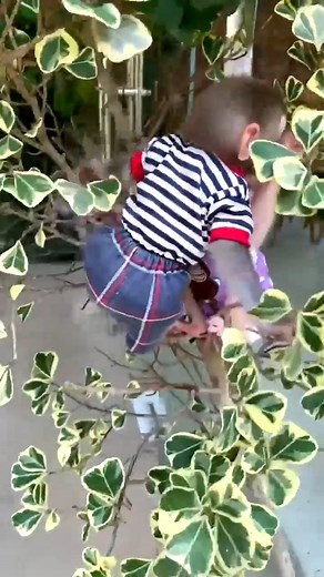 So Adorable Baby Monkey 🐒😍 ............................. ............................. ............................. #monkey #love #animals #zoo #art #nature #cute #photography #photooftheday #fun #instagood #animal #travel #monkeys #wildlife #newyork #nyc #naturephotography #summer #picoftheday #gorilla #monkeysofinstagram #primate #animalphotography #funny #florida #instapic #dogsofinstagram #dog #usa | Wild Monkey